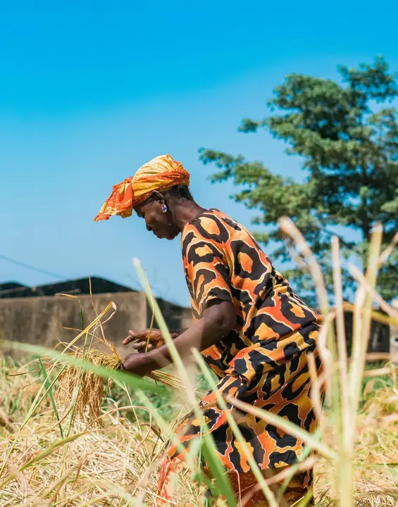 Collecting agricultural waste