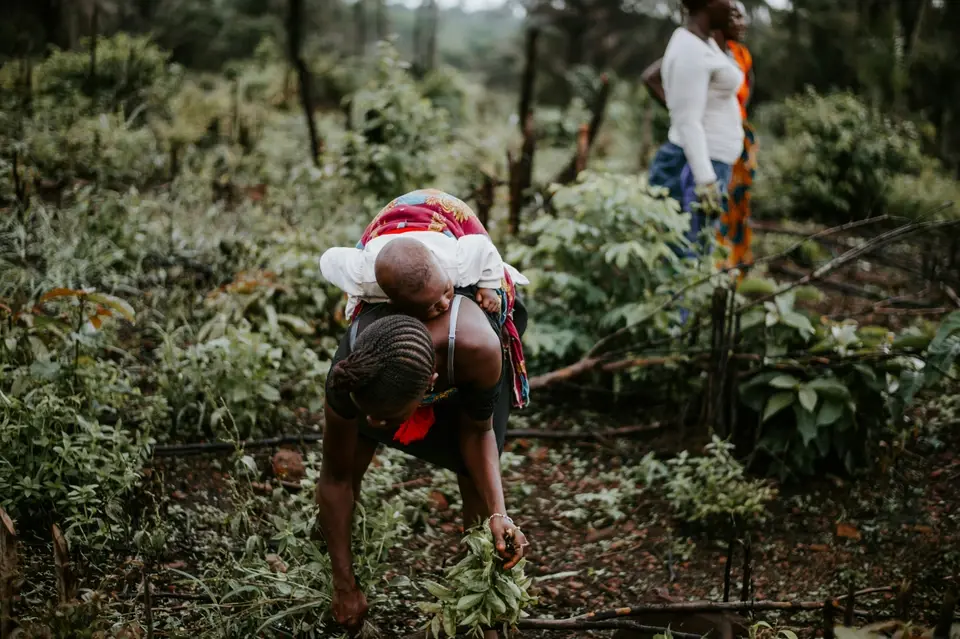 Collecting agricultural waste